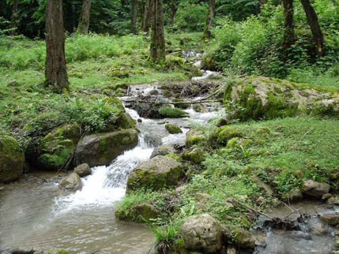 چشمه نیلبرگ