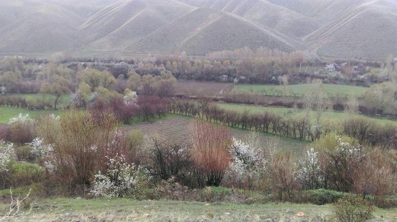 سنگ نوشته رازلیق
