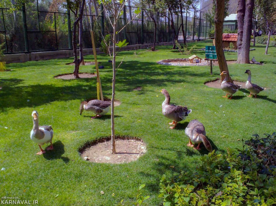 باغ پرندگان اصفهان