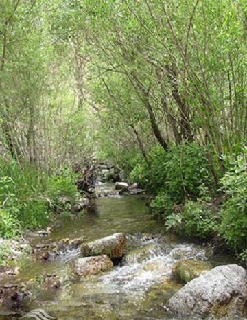 آبشار سیجان کرج