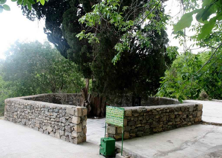 روستای تمین