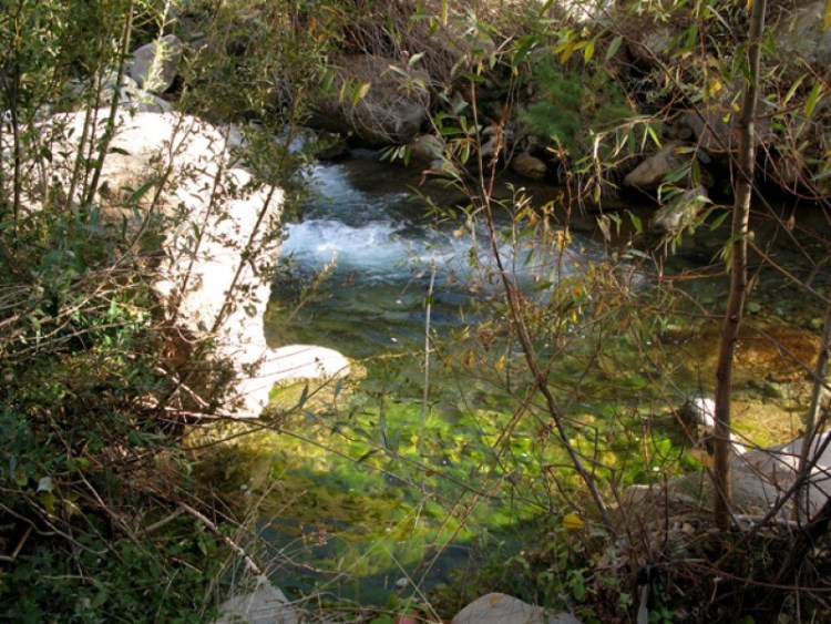 روستای برغان