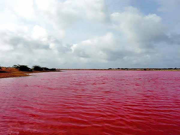 تالاب لیپار