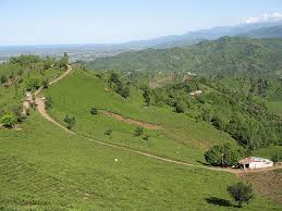 روستای تابستان نشین