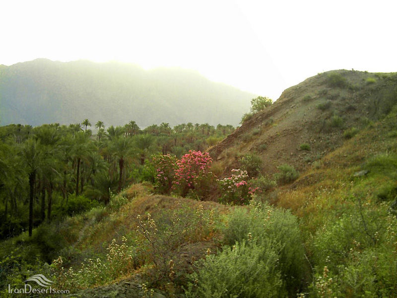 تنگه بنیون اهرم