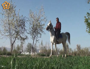 روستای کروچ و شرودان