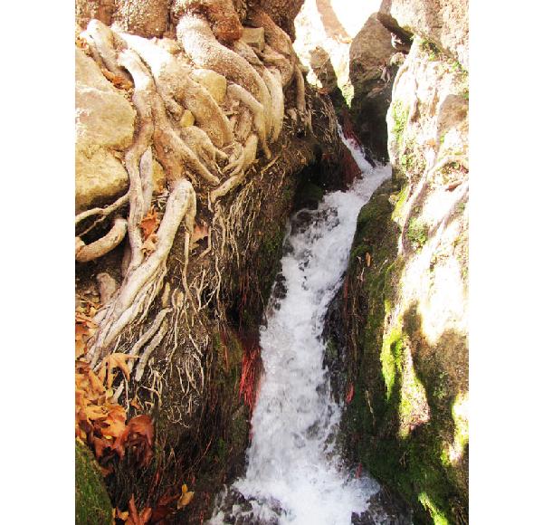 چشمه قهری