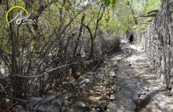 روستای تمین