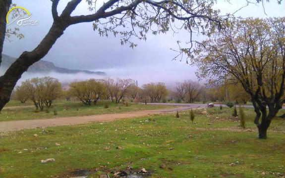 پارک جنگلی چغاسبز