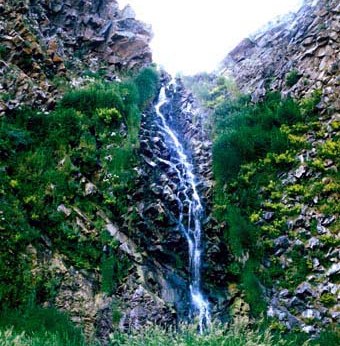 سردابه