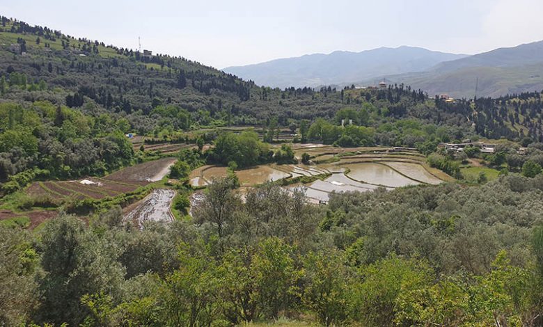 تپه مارلیک