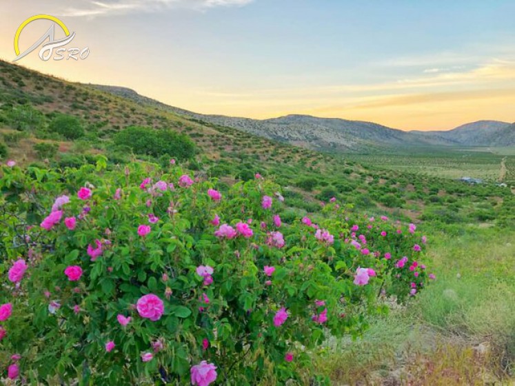 روستای لایزنگان
