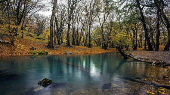 چشمه گل رامیان