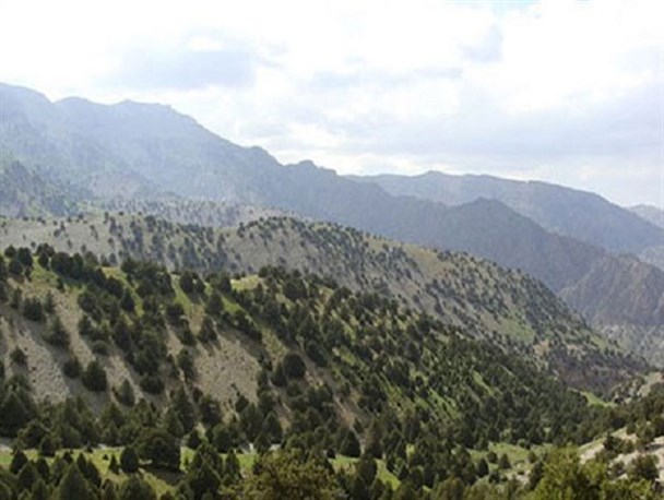 کپه داغ