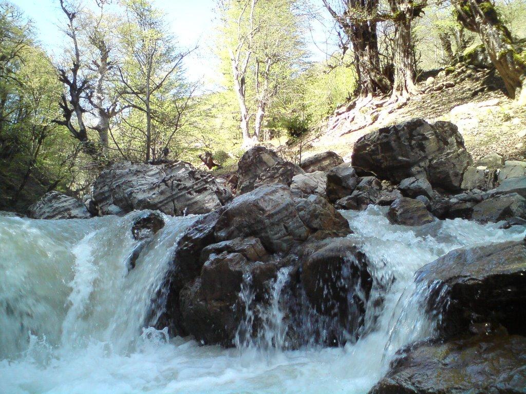 رودخانه شفارود