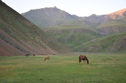 دشت و آبشار دریوک