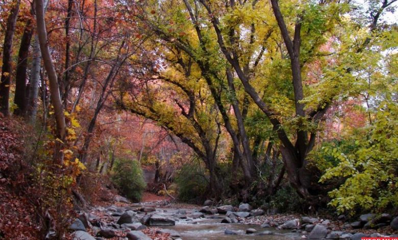 روستای برغان
