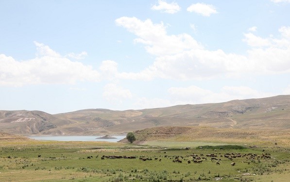 سد یامچی