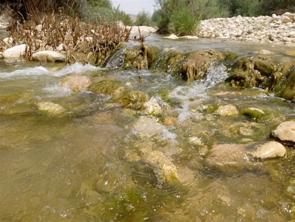 رودخانه باغان