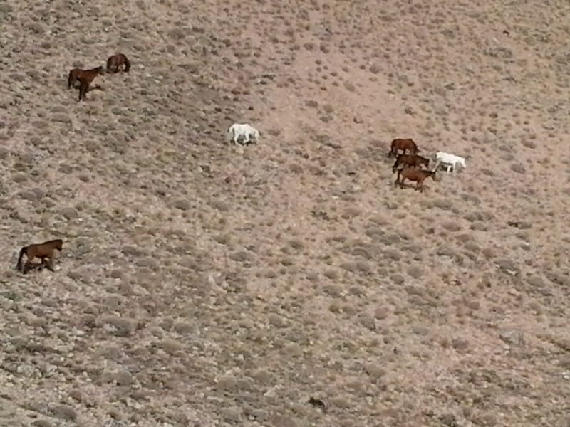 روستای لاطران