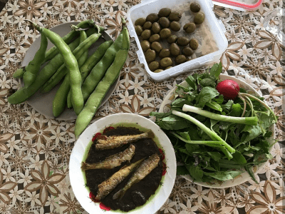 کولی غورابیج