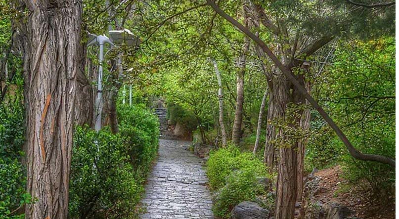 بوستان جمشیدیه