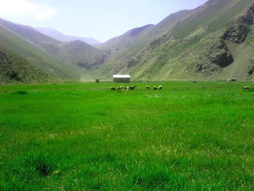 دشت و آبشار دریوک