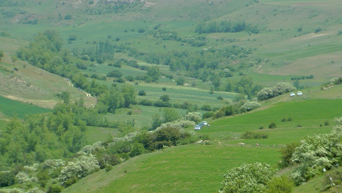 شهر ایردموسی