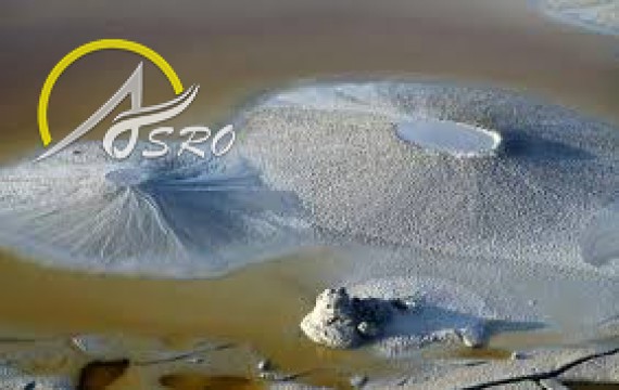 چشمه باتلاقی شورعین