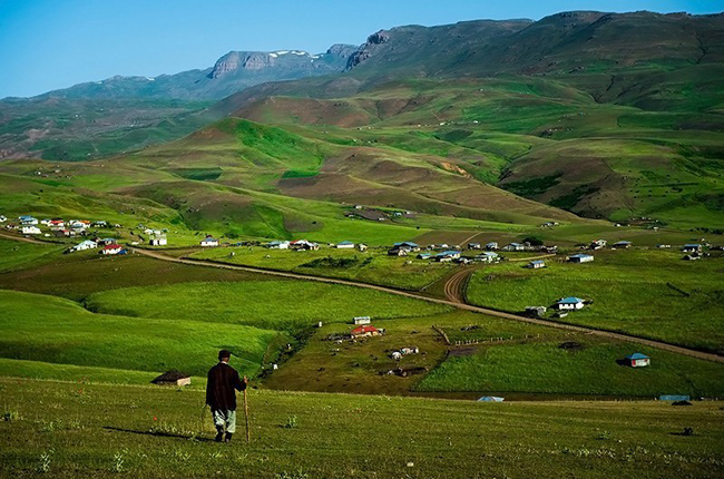 ییلاق شکر دشت