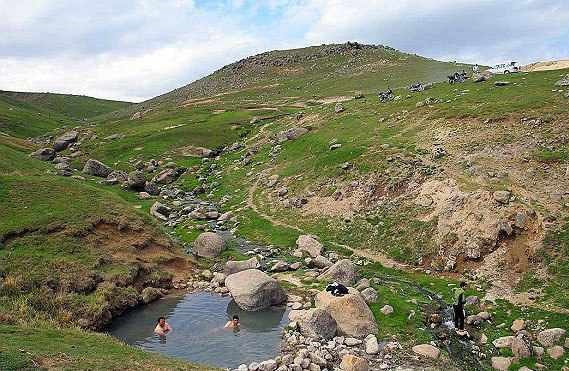 سردابه