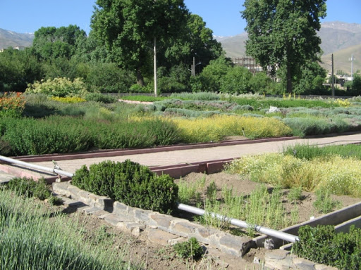 باغ گیاهان دارویی