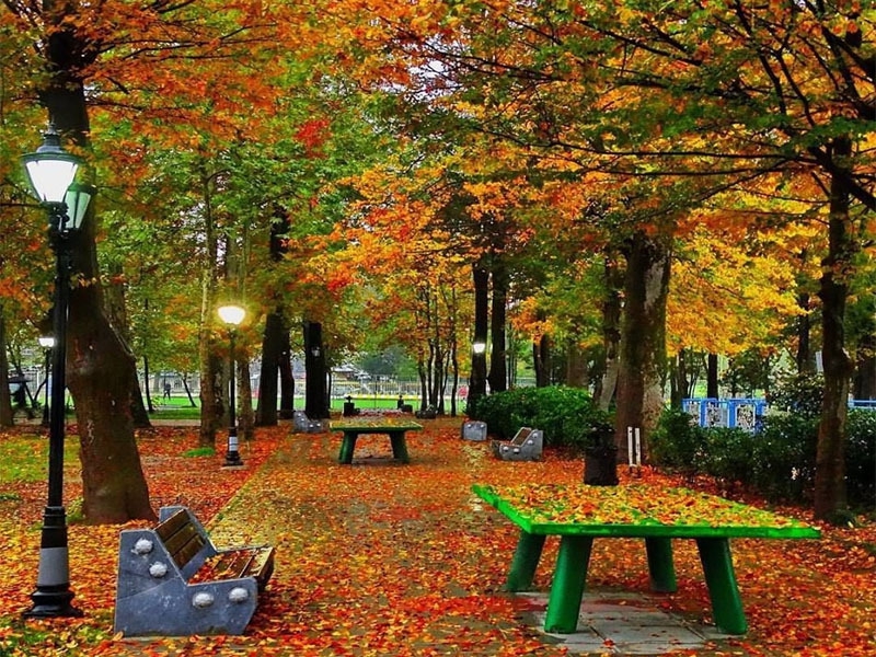 باغ محتشم رشت
