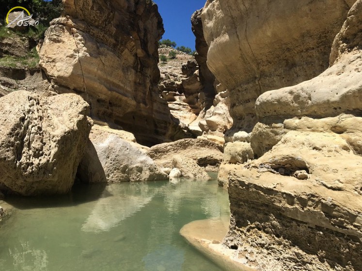تنگه رازیانه