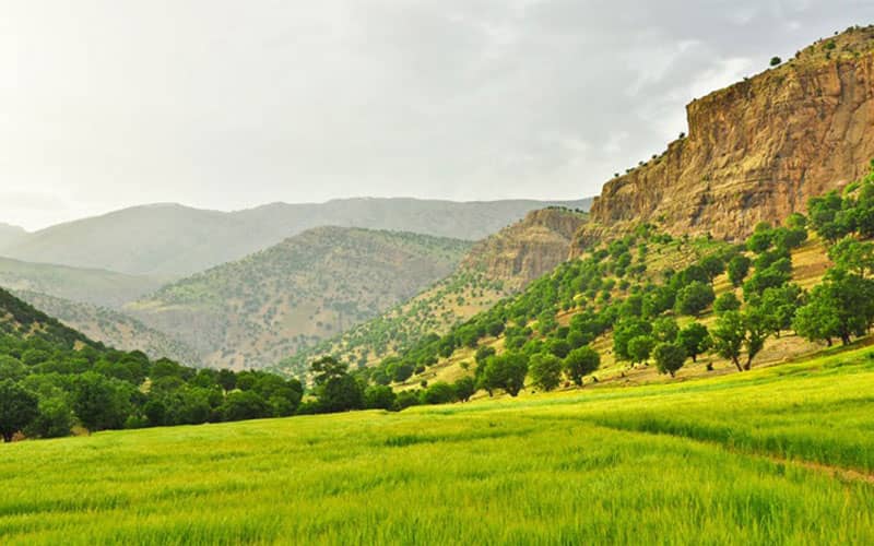 منطقه حفاظت شده هلن