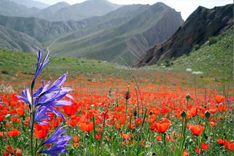 پارک ملی ساریگل